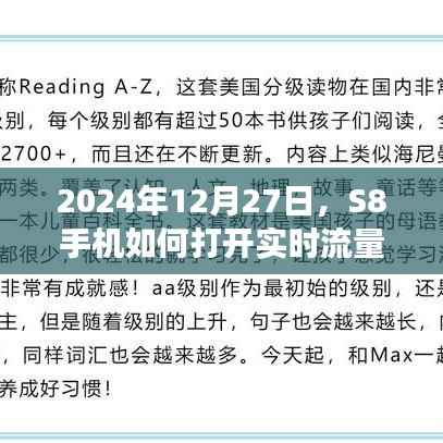 S8手机实时流量功能开启教程,2024年12月操作指南