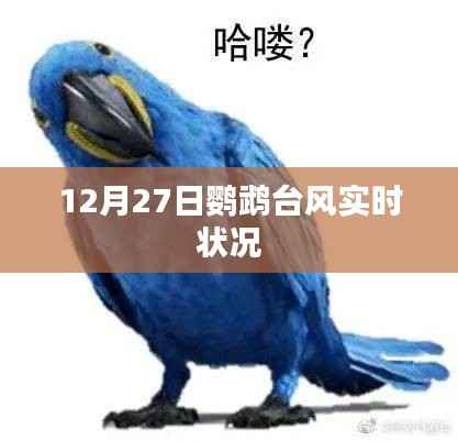 鹦鹉台风最新实时状况(12月27日)