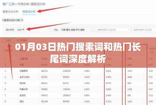 01月03日搜索词与长尾词深度解析报告