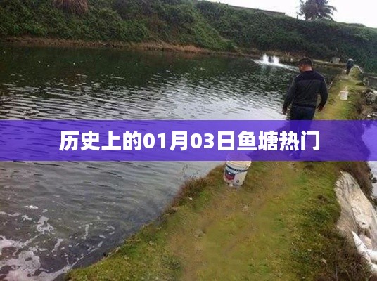 历史上的鱼塘热门事件,一月三日回顾