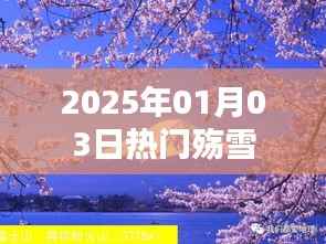 神清气朗 第3页