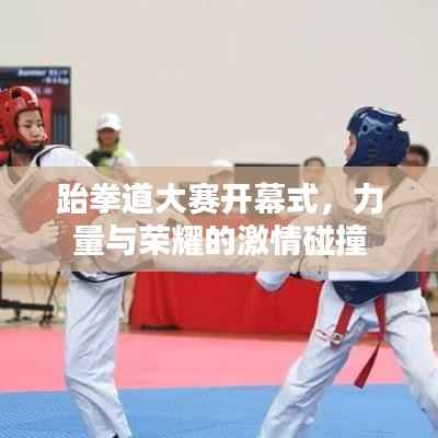 跆拳道大赛开幕式,力量与荣耀的激情碰撞