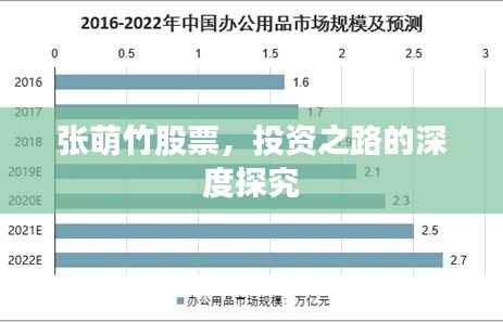 张萌竹股票，投资之路的深度探究