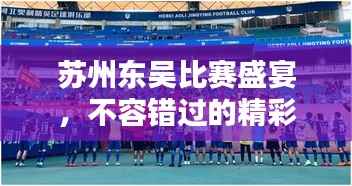 苏州东吴比赛盛宴,不容错过的精彩对决!球票火热抢购中
