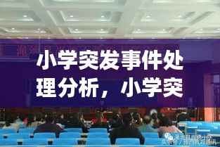 小学突发事件处理分析,小学突发事件处理方法