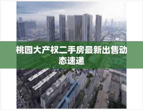 桃园大产权二手房最新出售动态速递