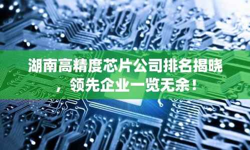 湖南高精度芯片公司排名揭晓,领先企业一览无余!
