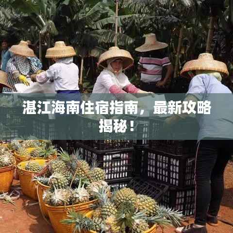 湛江海南住宿指南,最新攻略揭秘!
