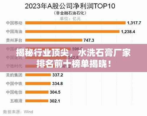 揭秘行业顶尖，水洗石膏厂家排名前十榜单揭晓！