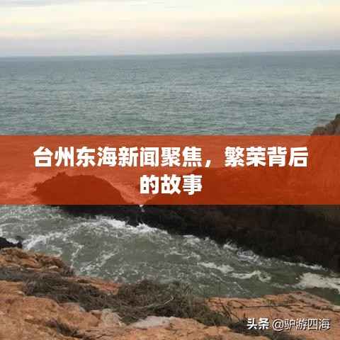 台州东海新闻聚焦,繁荣背后的故事