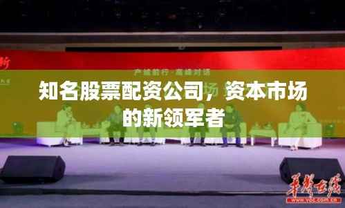 知名股票配资公司,资本市场的新领军者