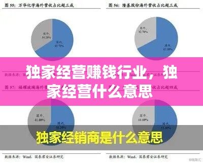 独家经营赚钱行业,独家经营什么意思