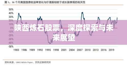 陕西炼石股票,深度探索与未来展望