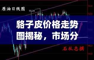 貉子皮价格走势图揭秘,市场分析预测及行情展望