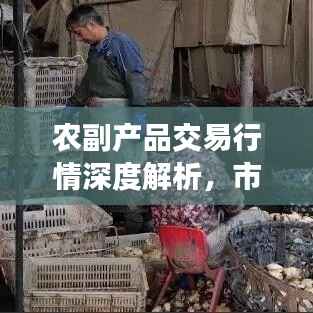 农副产品交易行情深度解析,市场走势、价格变动一网打尽!