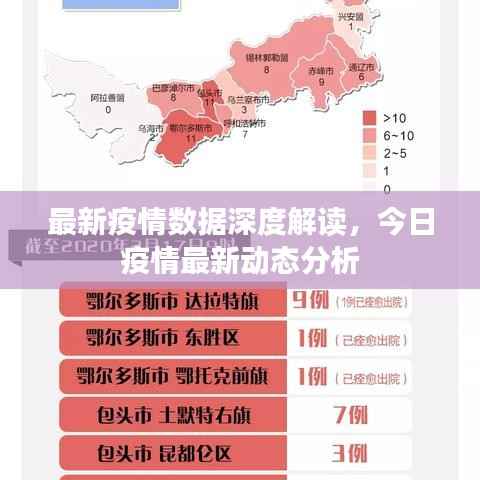 最新疫情数据深度解读,今日疫情最新动态分析