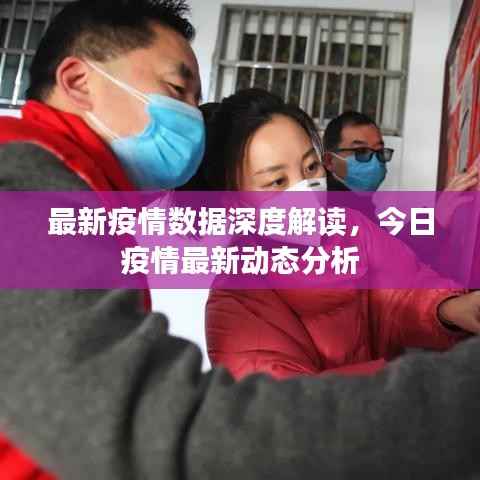最新疫情数据深度解读,今日疫情最新动态分析
