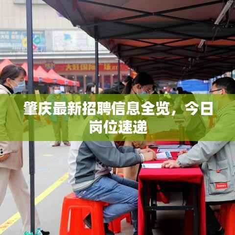 肇庆最新招聘信息全览，今日岗位速递