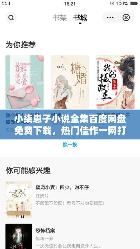 小柒崽子小说全集百度网盘免费下载,热门佳作一网打尽