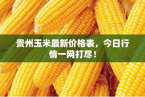 贵州玉米最新价格表,今日行情一网打尽!