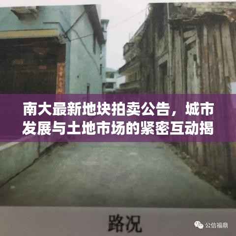 南大最新地块拍卖公告,城市发展与土地市场的紧密互动揭秘
