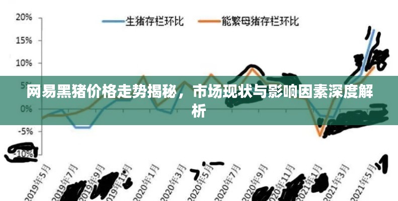网易黑猪价格走势揭秘,市场现状与影响因素深度解析