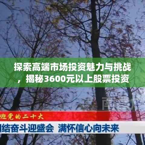 探索高端市场投资魅力与挑战,揭秘3600元以上股票投资之道