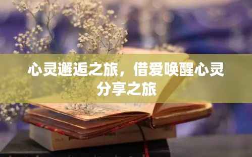 心灵邂逅之旅,借爱唤醒心灵分享之旅