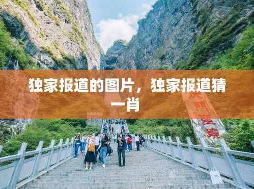 独家报道的图片,独家报道猜一肖