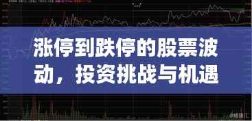 涨停到跌停的股票波动,投资挑战与机遇并存