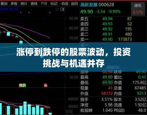 涨停到跌停的股票波动,投资挑战与机遇并存