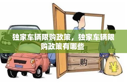 独家车辆限购政策,独家车辆限购政策有哪些