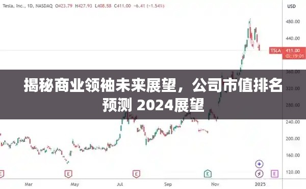 揭秘商业领袖未来展望,公司市值排名预测 2024展望