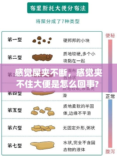 感觉屎夹不断,感觉夹不住大便是怎么回事?