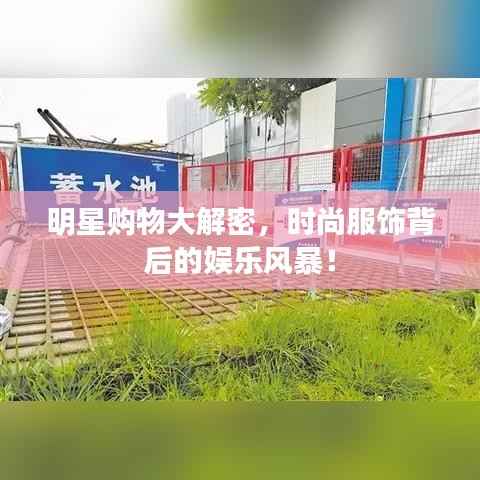 明星购物大解密,时尚服饰背后的娱乐风暴!