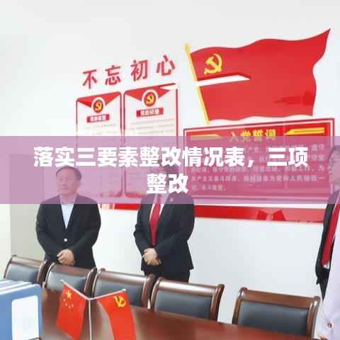 落实三要素整改情况表，三项整改 