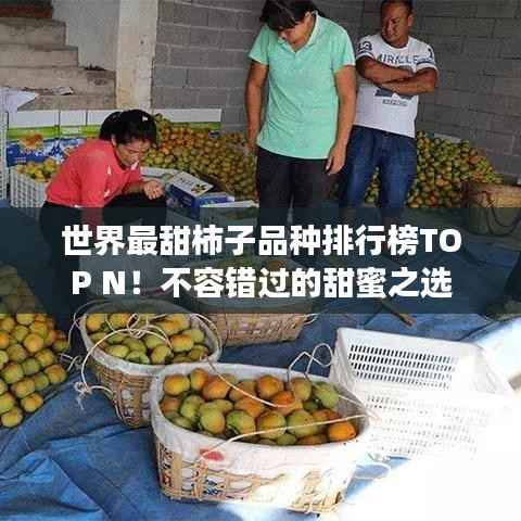 世界最甜柿子品种排行榜TOP N!不容错过的甜蜜之选