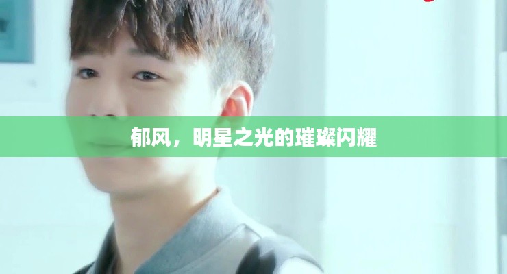 郁风,明星之光的璀璨闪耀
