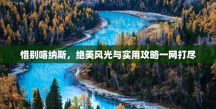 惜别喀纳斯,绝美风光与实用攻略一网打尽