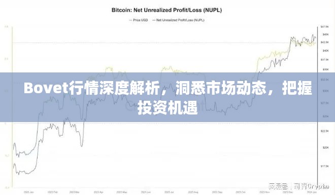 Bovet行情深度解析，洞悉市场动态，把握投资机遇