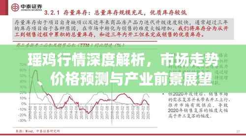 瑶鸡行情深度解析,市场走势、价格预测与产业前景展望
