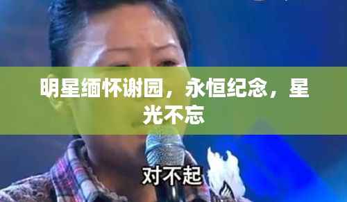 明星缅怀谢园，永恒纪念，星光不忘